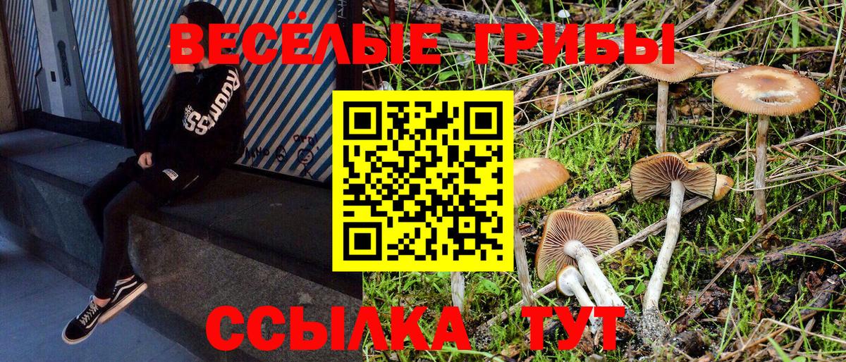 Псилоцибиновые грибы Magic Shrooms Шали