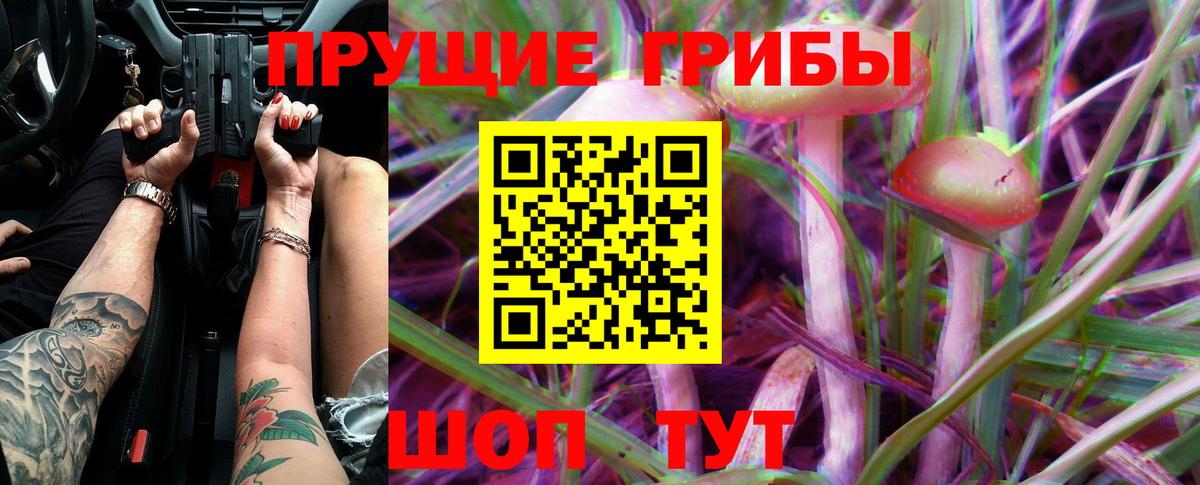 Галлюциногенные грибы Cubensis  Вход с VPN  Шали 